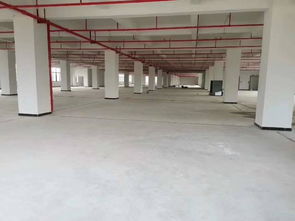 順德食品廠7200平招租,證件齊全,可辦環評,可分